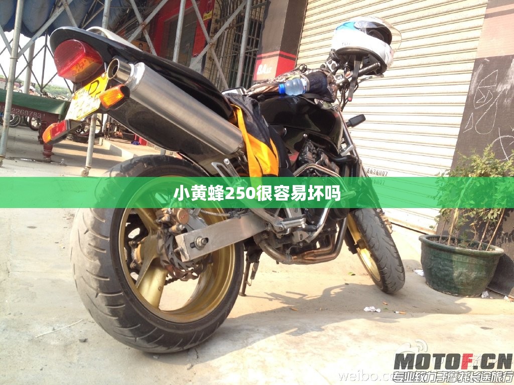 小黄蜂250很容易坏吗 小黄蜂250很容易坏吗
