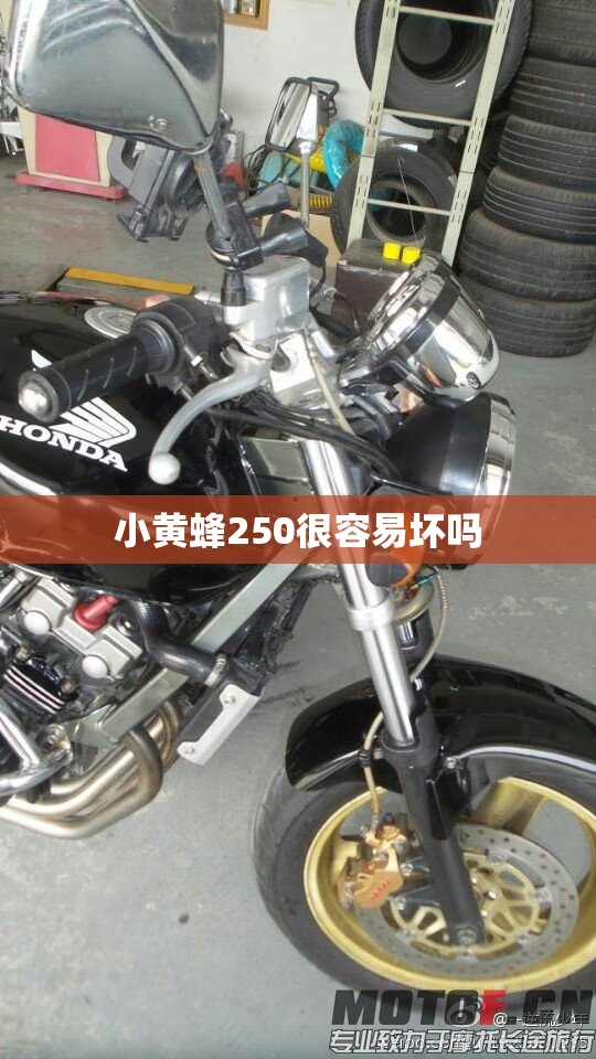 小黄蜂250很容易坏吗 小黄蜂250很容易坏吗