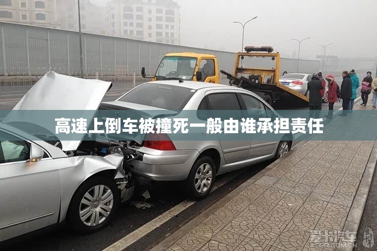 高速上倒车被撞死一般由谁承担责任 高速上倒车被撞死一般由谁承担责任