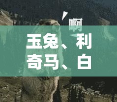 宋maxdmi2022款配置/宋maxdm费用
