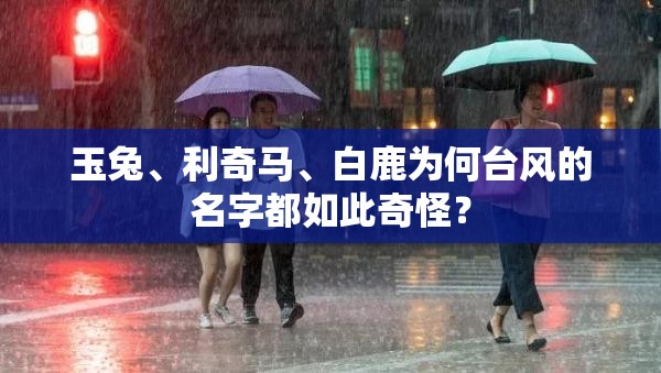 玉兔	、利奇马、白鹿为何台风的名字都如此奇怪？