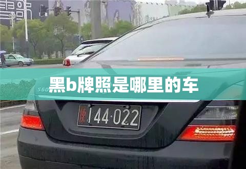 黑b牌照是哪里的车 黑b牌照是哪里的车