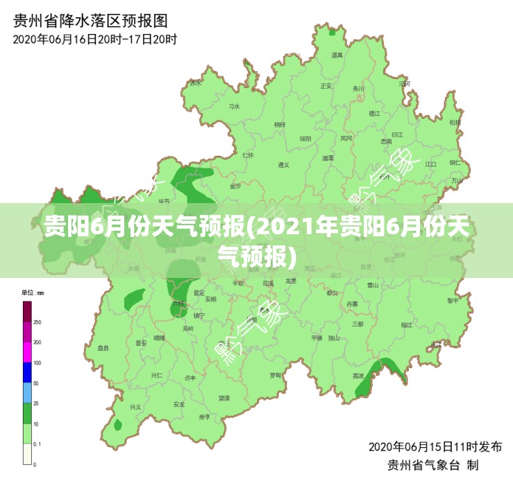 看车的app哪一个好