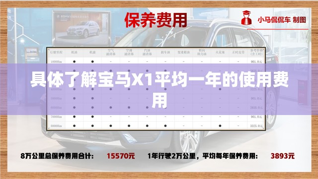 具体了解宝马X1平均一年的使用费用