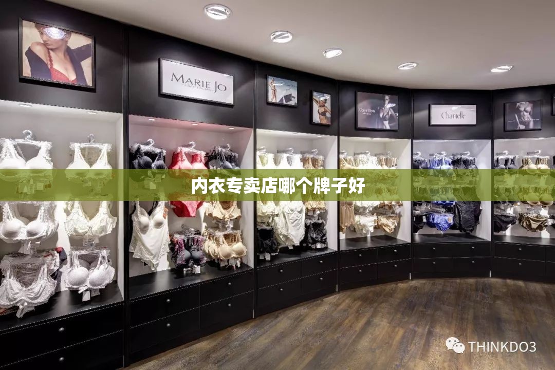 内衣专卖店哪个牌子好(内衣专卖店有哪些牌子)