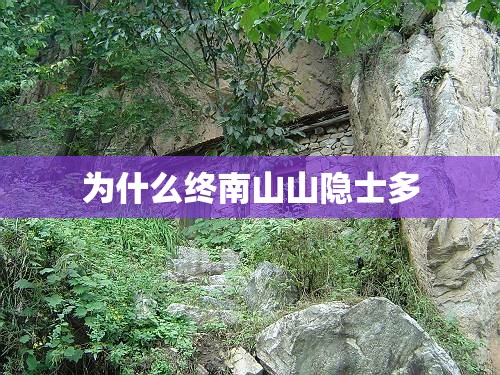 为什么终南山山隐士多