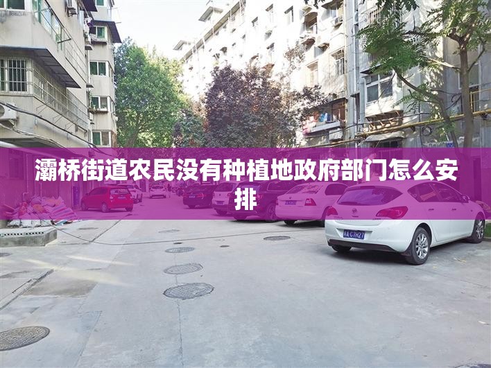 灞桥街道农民没有种植地政府部门怎么安排 灞桥街道农民没有种植地政府部门怎么安排