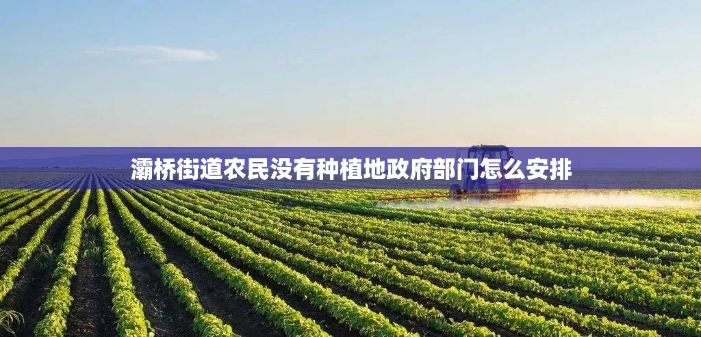 灞桥街道农民没有种植地政府部门怎么安排 灞桥街道农民没有种植地政府部门怎么安排