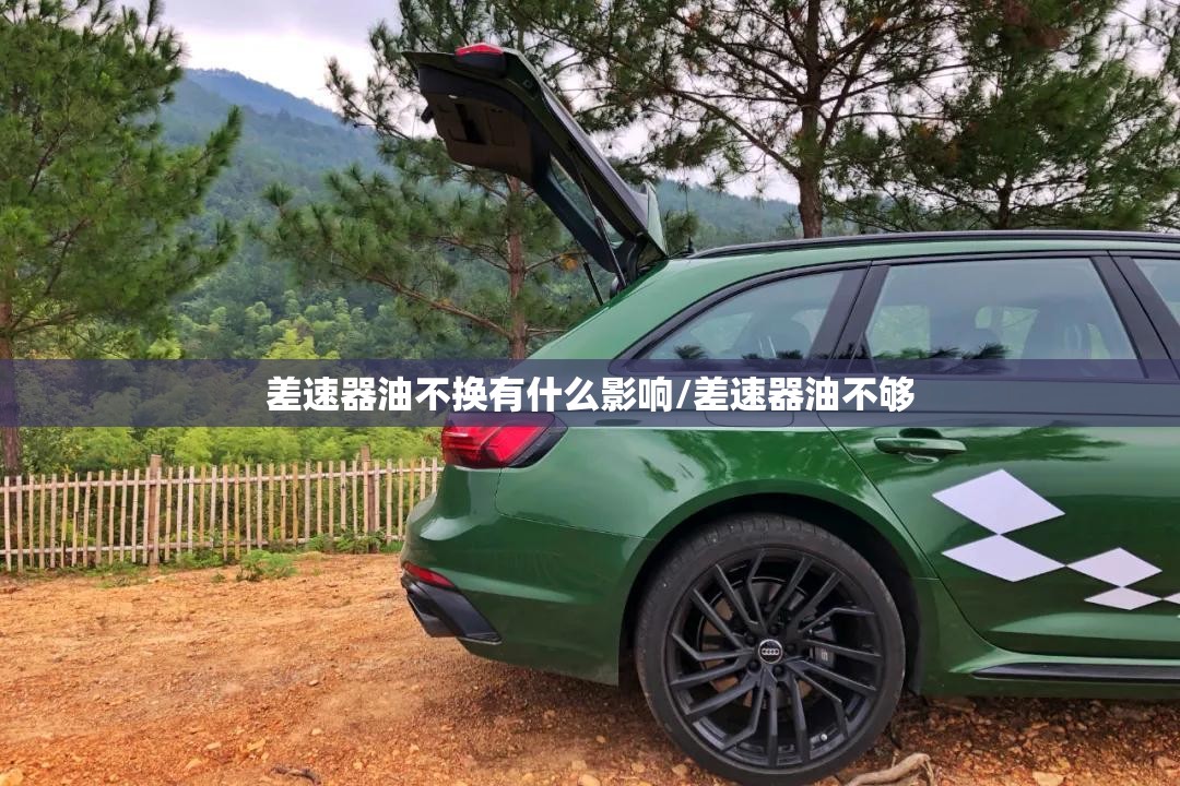 差速器油不换有什么影响/差速器油不够 差速器油不换有什么影响/差速器油不够
