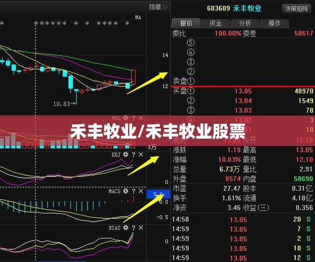 禾丰牧业/禾丰牧业股票 禾丰牧业/禾丰牧业股票