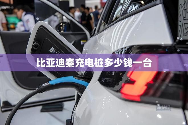 比亚迪秦充电桩多少钱一台(比亚迪秦充电桩怎么充电步骤)