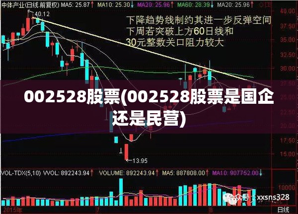 002528股票(002528股票是国企还是民营)