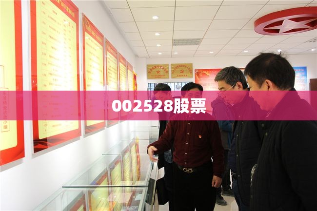 002528股票(002528股票是国企还是民营)