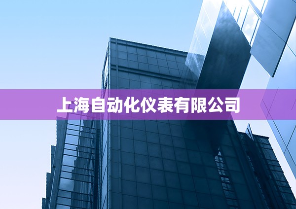 【上海自动化仪表有限公司,上海自动化仪表有限公司是国企吗】