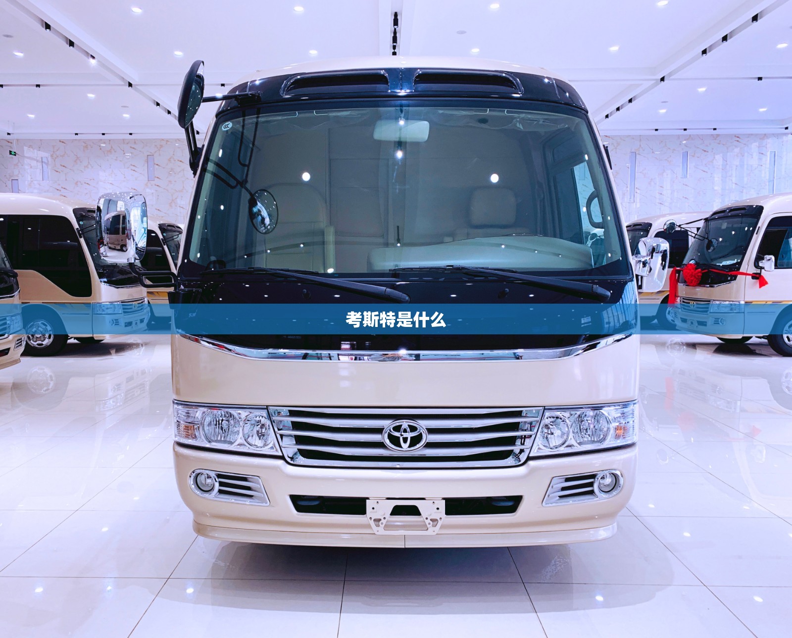 考斯特是什么