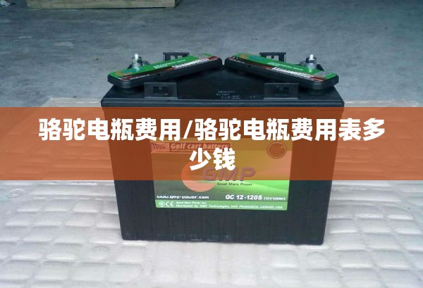 骆驼电瓶费用/骆驼电瓶费用表多少钱
