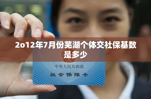 2o12年7月份芜湖个体交社保基数是多少