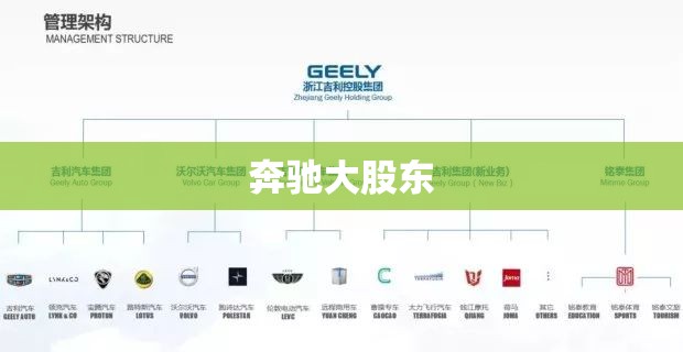 考斯特是什么