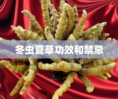 哈弗的油耗有多可怕