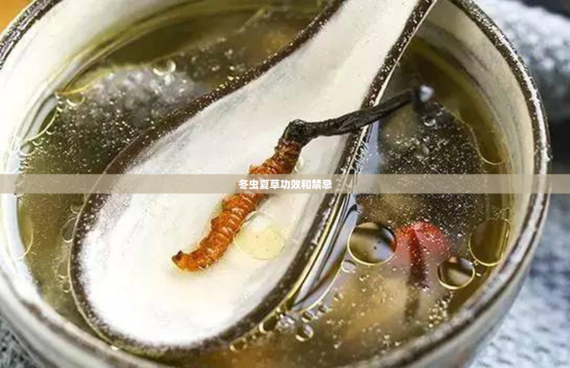 冬虫夏草功效和禁忌/冬虫夏草的效果与作用 冬虫夏草功效和禁忌/冬虫夏草的效果与作用