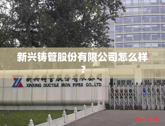 帮帮忙：谁知道沙尘暴的形成？