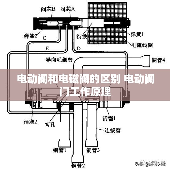 古斯特洛夫号电影免费观看(古斯特洛夫号邮轮)