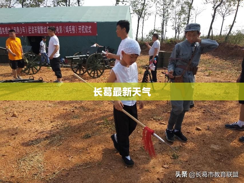 14款标致308顶棚什么颜色