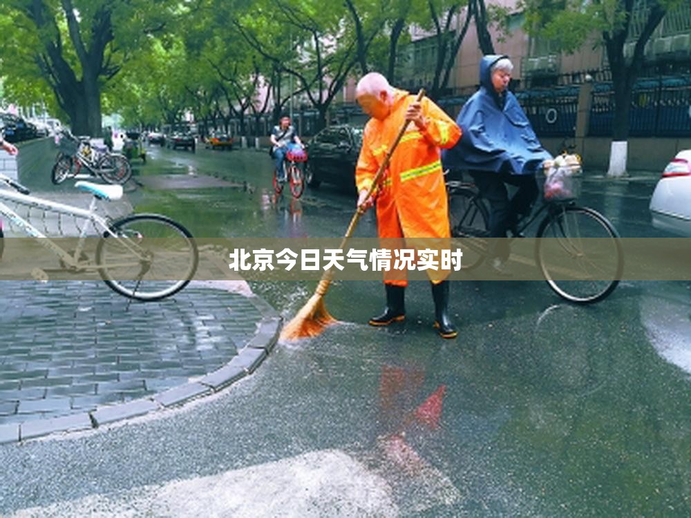 众源新材千股千评(众源新材新浪财经)
