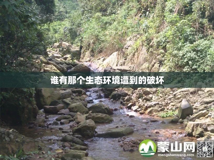 【北京今日天气情况实时,北京今日天气状况】