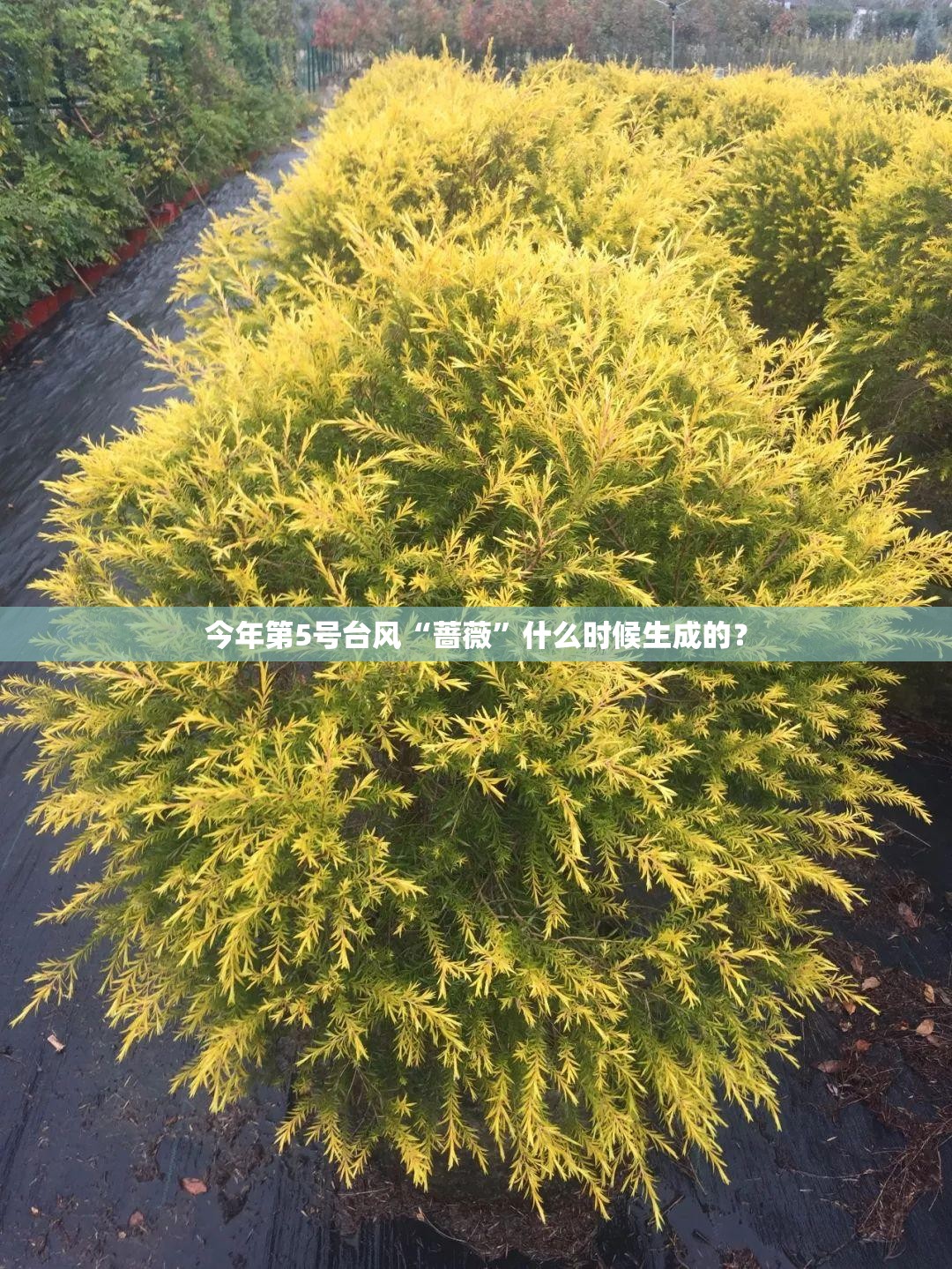 全铝橱柜多少钱一米