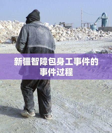 新疆智障包身工事件的事件过程 新疆智障包身工事件的事件过程