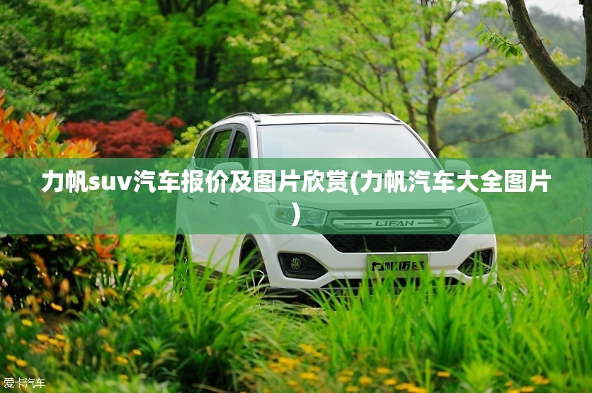 新疆智障包身工事件的事件过程