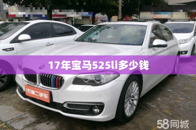 【17年宝马525li多少钱,17年宝马525li多少钱二手车】