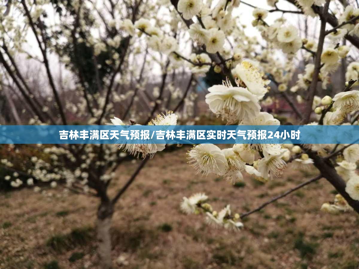吉林丰满区天气预报/吉林丰满区实时天气预报24小时