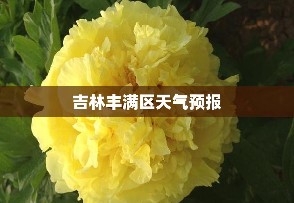 吉林丰满区天气预报/吉林丰满区实时天气预报24小时