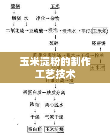 玉米淀粉的制作工艺技术