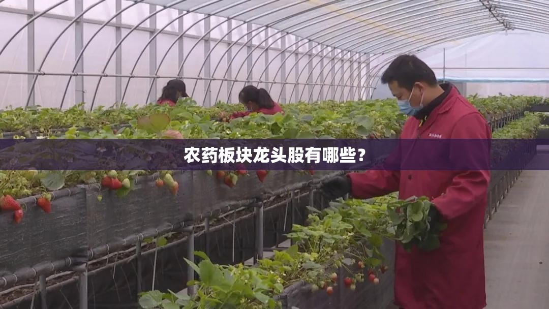 奥迪敞篷车有哪几款？
