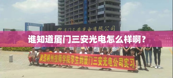 华夏港股还能涨起来吗/华夏港股159850