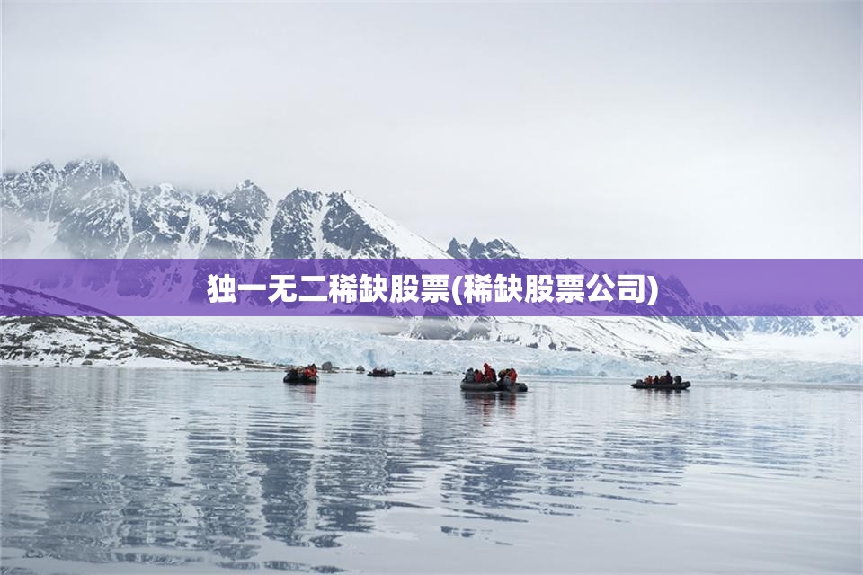 独一无二稀缺股票(稀缺股票公司) 独一无二稀缺股票(稀缺股票公司)