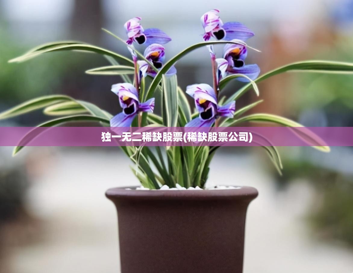 独一无二稀缺股票(稀缺股票公司) 独一无二稀缺股票(稀缺股票公司)