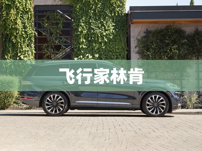 飞行家林肯