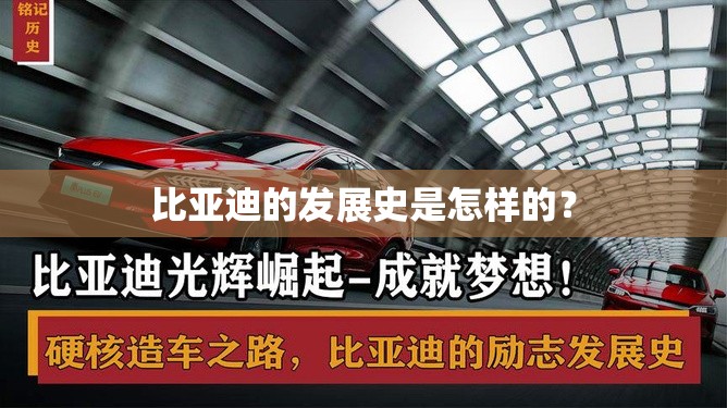 独一无二稀缺股票(稀缺股票公司)