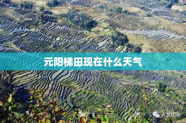 【深纺织股吧,深纺织股吧东方财富】