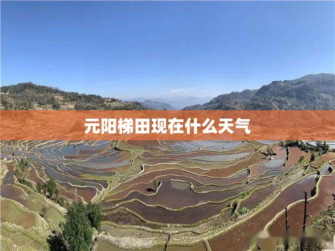 元阳梯田现在什么天气