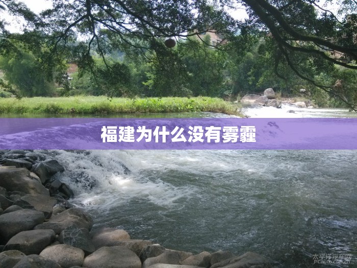 福特越野车有哪几款