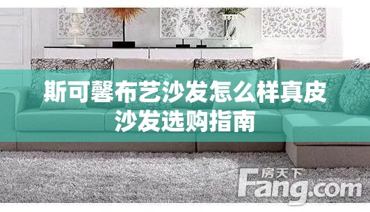 斯可馨布艺沙发怎么样真皮沙发选购指南 斯可馨布艺沙发怎么样真皮沙发选购指南