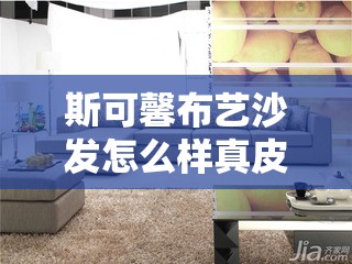 斯可馨布艺沙发怎么样真皮沙发选购指南 斯可馨布艺沙发怎么样真皮沙发选购指南
