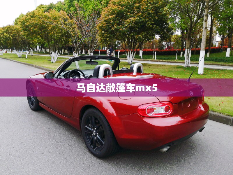 四轮定位仪十大名牌
