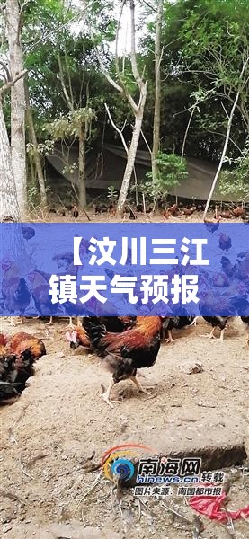 途岳皎月14万能落地吗(途岳14t豪华版plus落地价)