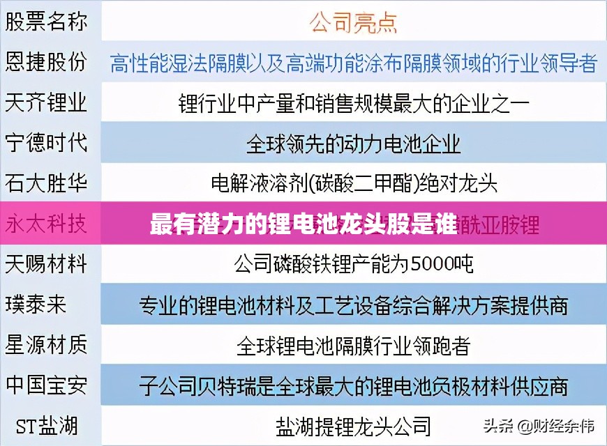 最有潜力的锂电池龙头股是谁 最有潜力的锂电池龙头股是谁